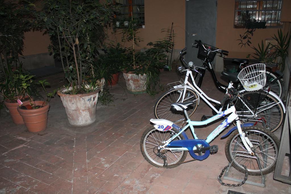 monolocale Oberdan Appartamento Bologna Esterno foto